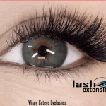 Wispy Cateye Eyelashes 2024