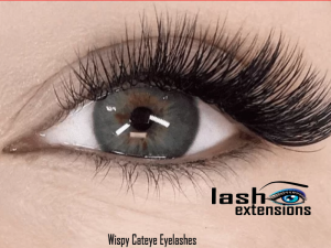 Wispy Cateye Eyelashes 2024